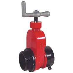 Dixon Gate Valve,Single,2-1/2 In NST AHGV250F-I