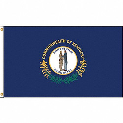 Nylglo Kentucky Flag,4x6 Ft,Nylon 141970