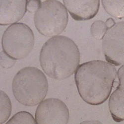 Manufacturer Varies Blast Media,Glass Beads,35 to 60 Grit GLB4050-50