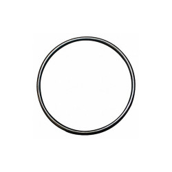 Dupont O-Ring,4" Dia,1/4", 100F WFAO150