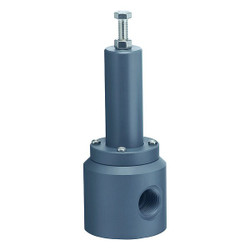 Plast-O-Matic Pressure Relief Valve,3/4In,5 to 100 psi RVT075V-PV