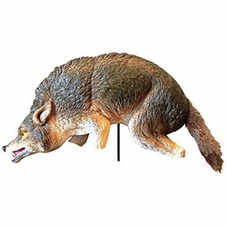 Bird-X Coyote Decoy,16 in H,Brown/White COYOTE 3-D