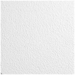 Armstrong Ceiling Tile,48 in L,24 in W,PK12 672