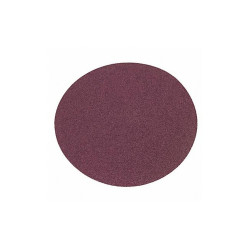 Norton Abrasives PSA Sanding Disc,10 in Dia,50 G 66261136607