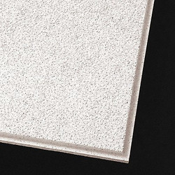 Armstrong World Industries Ceiling Tile,24 in L,24 in W,PK10 556E