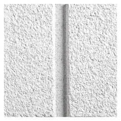 Armstrong Ceiling Tile,24 in L,24 in W,PK12 590B