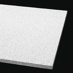 Armstrong World Industries Ceiling Tile,48 in L,24 in W,PK8 302A