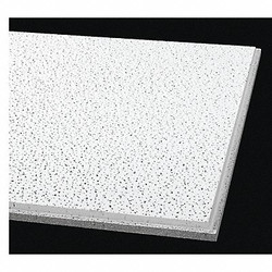 Armstrong World Industries Ceiling Tile,48 in L,24 in W,PK10 1733A