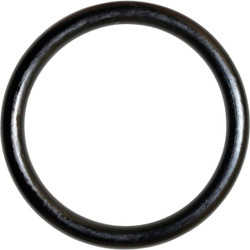 Danco #17 7/8 In. x 1-1/16 In. Buna-N O-Ring 35734B Pack of 5