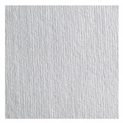 Berkshire Dry Wipe,4" x 4",White DR770.0404.40