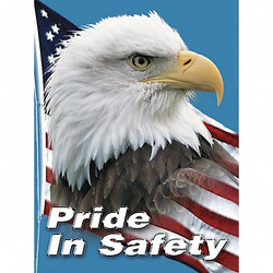 Accuform Safety Poster,22 in x 17 in,Plastic SP124511L