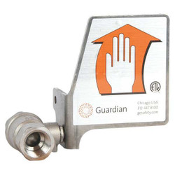 Guardian Equipment Sst 1/2In. Ball Valave with Handle AP620111H
