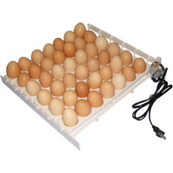 Farm Innovators 41-Egg Capacity 120V Automatic Egg Turner 3200