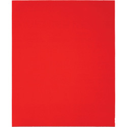Diablo 9 In. x 11 In. 100-Grit (Medium) Single Sanding Sheet Pack of 50