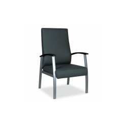 Alera® CHAIR,METL,HIGHGUEST,BKSV ALEML2419