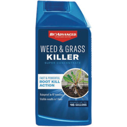 BioAdvanced 32 Oz. Concentrate Weed & Grass Killer 704195A