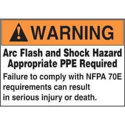 Accuform Label,3 1/2"x 5 in,Coated Paper,PK100 LRLE308