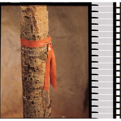 Manufacturer Varies Flagging Tape, Orange, 300 ft L, 1 in TF1O-200
