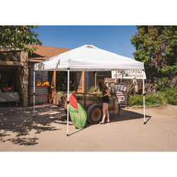Crown Shade 10 Ft. x 10 Ft. White Aluminum Frame Commercial Canopy CSHB100-400D