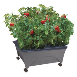 City Pickers 24"x20" Poly Grow Box 2346D