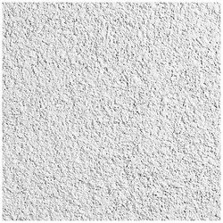 Armstrong World Industries Ceiling Tile,24 in L,24 in W,PK10 534C