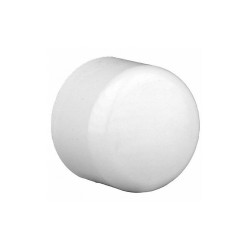 Sim Supply Socket Cap,Schedule 40,2"Pipe Size,White  1WKK7