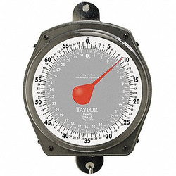 Taylor Hanging Scale,Dial,32kg/70 lb. Capacity 3470410410