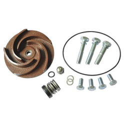 Dayton Pump Repair Kit,For 2ZWR2A,2ZWR3A 21TG47