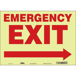 Condor Safety Sign,10 in x 14 in,Glow Vinyl 467R04