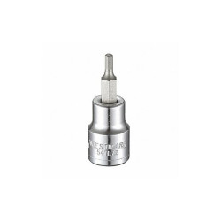 Westward Socket Bit, Steel, 3/8 in, TpSz 3 mm  54TL72