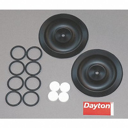 Dayton Diaphragm Pump Repair Kit,TPV,For 69Y34 6PY58