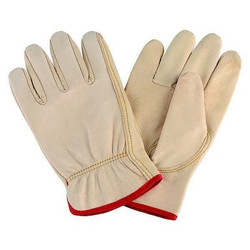 Condor Leather Gloves,Beige,S,PR  4TJX9