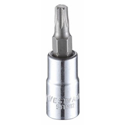 Westward Socket Bit, Steel, 1/4 in, TpSz T27  54TN12