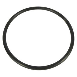 Dayton Trap Lid O-Ring PP21101000001G