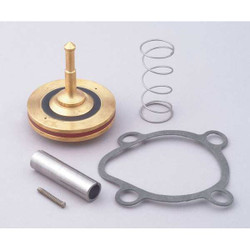 Dayton Valve Rebuild Kit,With Instructions 066059