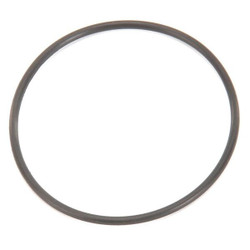 Follett Ice Mounting Base O-Ring PI501063