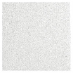 Armstrong Ceiling Tile,24 in L,24 in W,PK10 2820A