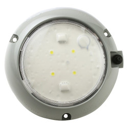 Grote Dome Light,Round,Clear, White 61171