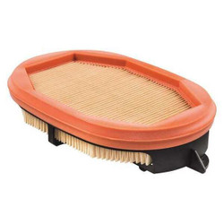 Baldwin Filters Air Filter, Oval PA30119