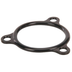 Champion - Moyer Diebel Seal, Electric Heater Flange  109985