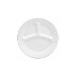 Dart Disposable Foam Plate,9in,White,PK500  9CPWC