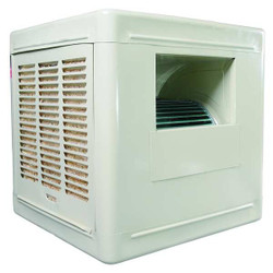 Dayton Ducted Evaporative Cooler,6800 cfm,3/4HP 4RNP3