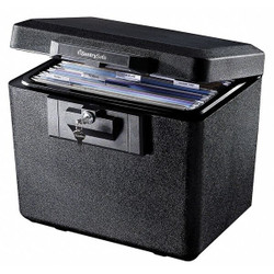 Sentry Safe Safe,0.6 cu ft,Black 1170