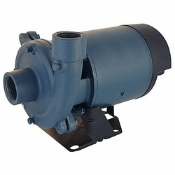 Flint & Walling Booster Pump,1 hp, 1 Phase, 115/230V AC CJ103101