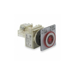 Schneider Electric Illuminated Push Button,30mm,1NO/1NC,Red  9001SKR9P1RH13