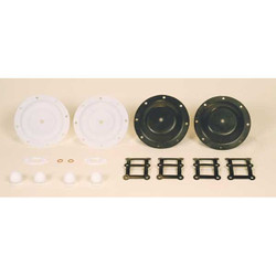 Sandpiper Diaph. Pmp Rpr Kt,PTFE,For 6WY83 476.309.635