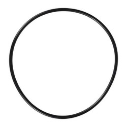Dayton O-Ring For Filter Neck PP02011134G