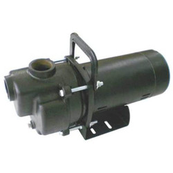 Dayton Self Priming Pump,1/3 HP,Cast Iron 4YKP5