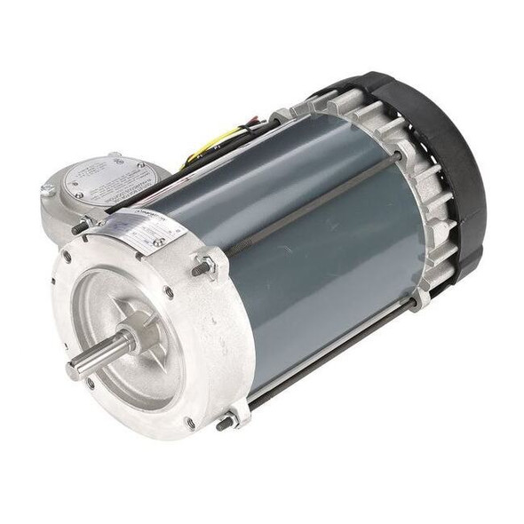 Leeson Hazardous Loc Mtr,Cap Strt/Ind Run,1 HP 056C17G5323