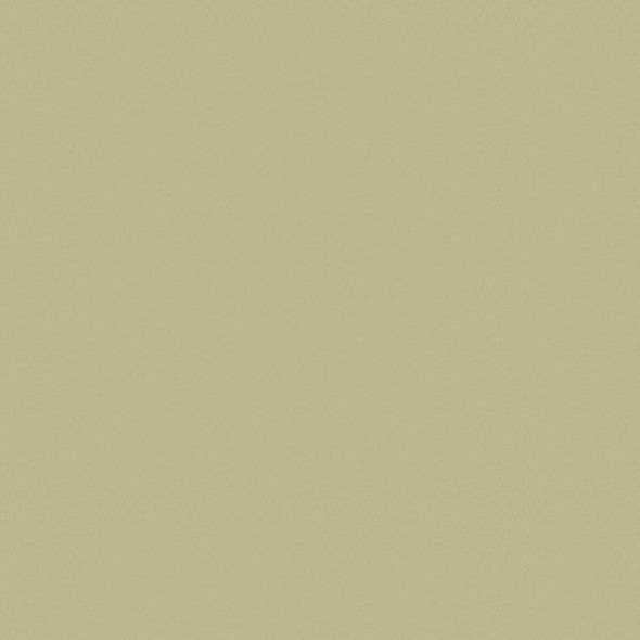 Rust-Oleum Rust Preventative Spray Primer . Beige, 14.1 oz, Aerosol Can, Flat 247598